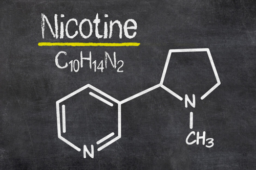 qui synthétise chimiquement la nicotine?