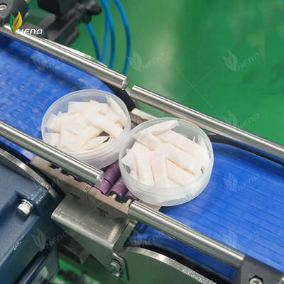 fabricants professionnels Sachets de nicotine de 6 mg