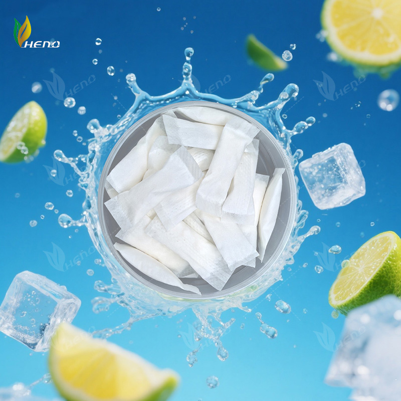 fabricants professionnels Sachets de nicotine 6 mg OEM