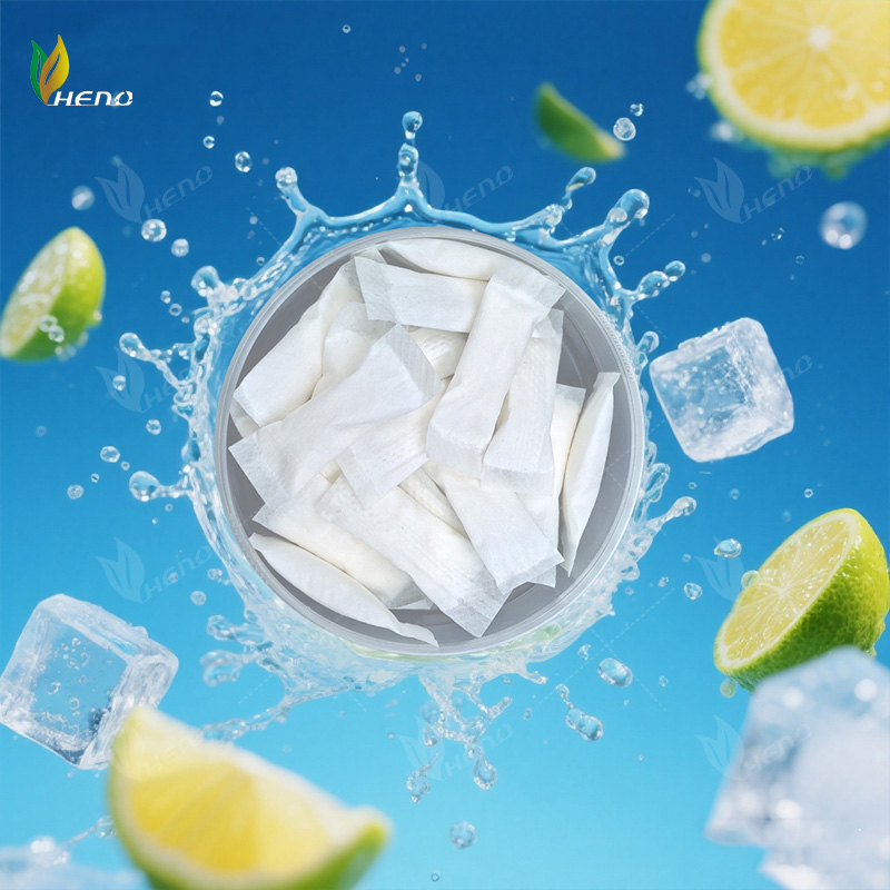 fabricants professionnels Sachets de nicotine 3 mg OEM