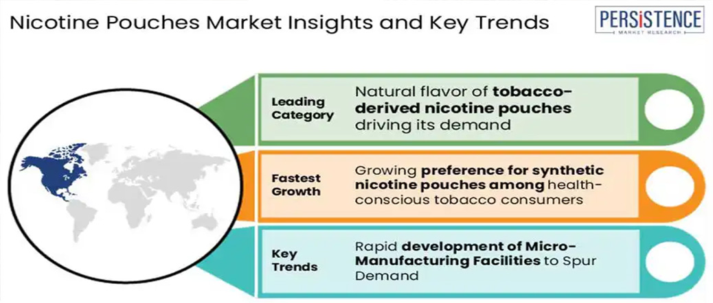 Analyse des parts de marché et des tendances des sachets de nicotine